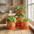 Tomaattiruukkusetti, keraamiset koristeelliset kukkaruukut keittiöön ja retro-sisustukseen, 14 cm, 3 kpl:n setti | Floristik24.fi
