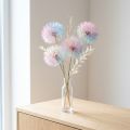 Voikukkakoriste, kuivakukka, stabiloitu ja värjätty, herkkä, kestävä, 12 cm, 4 kpl | Floristik24.fi