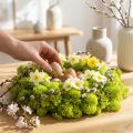 Deco moss vaaleanvihreä poro sammalta säilötty 400g | Floristik24.fi