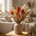 Repens Red 25 kpl | Floristik24.fi