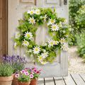 Daisy Wreath Valkoinen Vihreä Keinotekoinen Ø28cm K9cm | Floristik24.fi