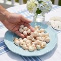 Umachi simpukka 500g | Floristik24.fi