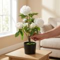 Keinotekoinen Paeonia, pioni ruukussa, koristekasvi valkoiset kukat K57cm | Floristik24.fi