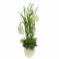 Floristik24 Fritilaria munankuoressa ripustaa keinotekoisesti vihreä, valkoinen 25cm