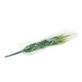 Floristik24 Ketunhäntä ruoho vihreä, valkoinen 63cm