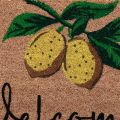 Floristik24 Ovimatto Lemon Tervetuloa kynsimatto Coconut 40×60cm