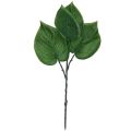 Floristik24 Philodendron keinotekoinen puu ystävä tekokasveja vihreä 39cm