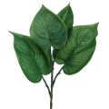 Floristik24 Philodendron keinotekoinen puu ystävä tekokasveja vihreä 39cm