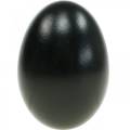 Floristik24 Hanhenmunat Black Blown Eggs Pääsiäiskoristeet 12kpl