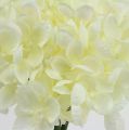 Floristik24 Hortensia nippuja keinotekoisia kukkia valkoinen L27cm