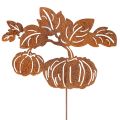 Floristik24 Puutarhakeppi kurpitsa-aiheella, metallikoristeet, ruosteenvärinen, 100 cm