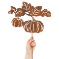 Puutarhakeppi kurpitsa-aiheella, metallikoristeet, ruosteenvärinen, 100 cm | Floristik24.fi