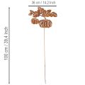 Puutarhakeppi kurpitsa-aiheella, metallikoristeet, ruosteenvärinen, 100 cm | Floristik24.fi
