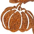 Puutarhakeppi kurpitsa-aiheella, metallikoristeet, ruosteenvärinen, 100 cm | Floristik24.fi