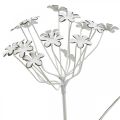 Floristik24 Puutarhatulppa kukka, puutarhakoristeet, kasvitulppa metallista shabby chic valkoinen, hopea L52cm Ø10cm 2kpl