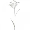 Floristik24 Puutarhatulppa kukka, puutarhakoristeet, kasvitulppa metallista shabby chic valkoinen, hopea L52cm Ø10cm 2kpl
