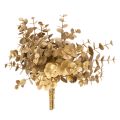 Floristik24 Keinotekoinen eukalyptuskasvi, kullanvärinen koristeoksa pöytäkoristeeseen, 24 cm