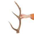 Koristeelliset tekosarvet, maalaismainen mökkikoriste, 50 cm | Floristik24.fi