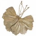 Ginkgo Leaf Riipus Ginkgo Vintage Deco Metal 15×11cm 4kpl