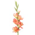 Floristik24 Keinotekoinen gladiolus monikukkainen kimppuun, 88 cm