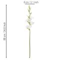 Keinotekoinen gladiolus, pitkävartinen, maljakoihin, 88 cm | Floristik24.fi