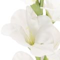 Keinotekoinen gladiolus, pitkävartinen, maljakoihin, 88 cm | Floristik24.fi