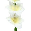Floristik24 Gladiolus valkoinen 86cm keinotekoinen