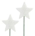 Floristik24 Glitter Star langalla 5cm Valkoinen L23cm 48kpl 48kpl