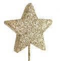 Floristik24 Glitter Tähdet langalla 5cm Kulta L23cm 48kpl 48kpl