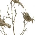 Floristik24 Glitter Branch lintujen kanssa 75cm kultainen