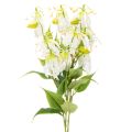 Floristik24 Tekokukka Gloriosa, valkoinen ja keltainen, elegantti kukkiva oksa koristeeksi, 80 cm, 3 kpl