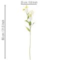 Tekokukka Gloriosa, valkoinen ja keltainen, elegantti kukkiva oksa koristeeksi, 80 cm, 3 kpl | Floristik24.fi