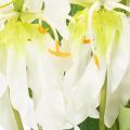 Tekokukka Gloriosa, valkoinen ja keltainen, elegantti kukkiva oksa koristeeksi, 80 cm, 3 kpl | Floristik24.fi