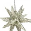 Floristik24 Glitter tähdet ripustaa samppanjaa Joulukuusikoristeet 7,5 cm 8 kpl