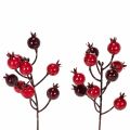 Floristik24 Keinotekoinen granaattiomenanoksa haaroittuvilla varsilla maljakon koristeeksi, 19 cm, 4 kpl