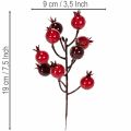 Keinotekoinen granaattiomenanoksa haaroittuvilla varsilla maljakon koristeeksi, 19 cm, 4 kpl | Floristik24.fi