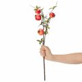 Keinotekoinen granaattiomenan oksa hedelmäoksana pöytäkoristeeseen, 68cm | Floristik24.fi