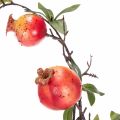 Keinotekoinen granaattiomenan oksa hedelmäoksana pöytäkoristeeseen, 68cm | Floristik24.fi