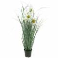 Floristik24 Keinotekoinen ruoho Echinacean kanssa valkoisessa ruukussa 56cm