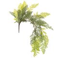 Floristik24 Keinotekoinen saniaisen oksa, herkkä, maljakkoon, 80 cm