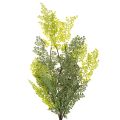 Keinotekoinen saniaisen oksa, herkkä, maljakkoon, 80 cm | Floristik24.fi