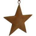 Floristik24 Jouluriipus tähti metalli tähti ruoste look H13,5cm