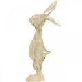 Floristik24 Koristeellinen hahmo, pupu, kevätkoriste, pääsiäinen, puinen koriste 30,5cm