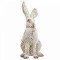 Floristik24 Koristeellinen kani istuu nuhjuinen tyylikäs kevätkoristeet H25cm 2kpl