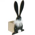 Floristik24 Bunny Planter Feather Boa musta, valkoinen pilkullinen puinen pääsiäispupu