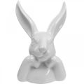 Floristik24 Deco kani valkoinen, rintakuva kanin pää, keraaminen H21cm