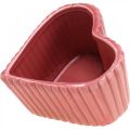 Floristik24 Koristeellinen sydänkeraaminen valkoinen, vaaleanpunainen, mini istutuspöytä H6cm 3kpl