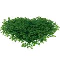 Floristik24 Koristeellinen sydän puksipuu keinotekoinen koristematto vihreä 30,5cm