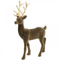 Floristik24 Koristeellinen hirven koristefiguuri koristeellinen poroparvi ruskea H46cm