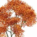 Floristik24 Elder oranssi keinotekoinen kukkiva oksa 52cm 4kpl 4kpl